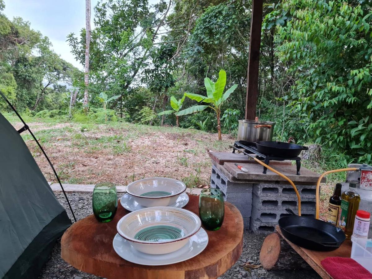 Jungle Eco Reserve Hotell Colon Eksteriør bilde