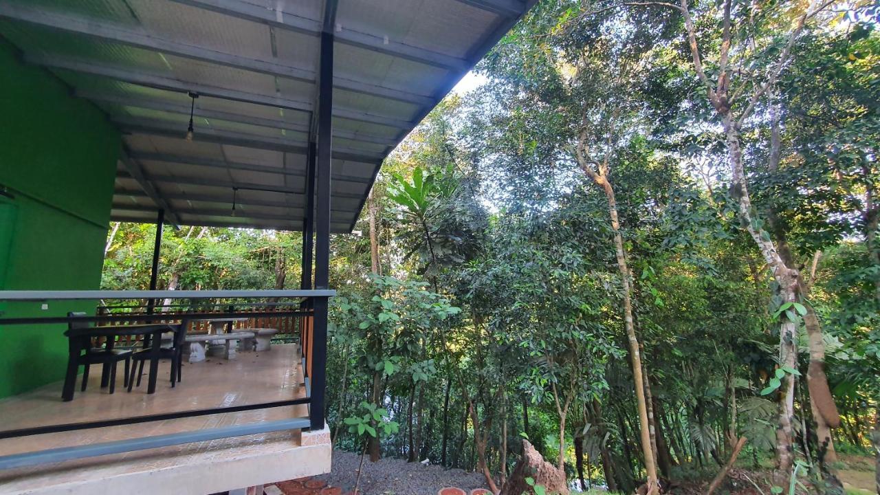 Jungle Eco Reserve Hotell Colon Eksteriør bilde