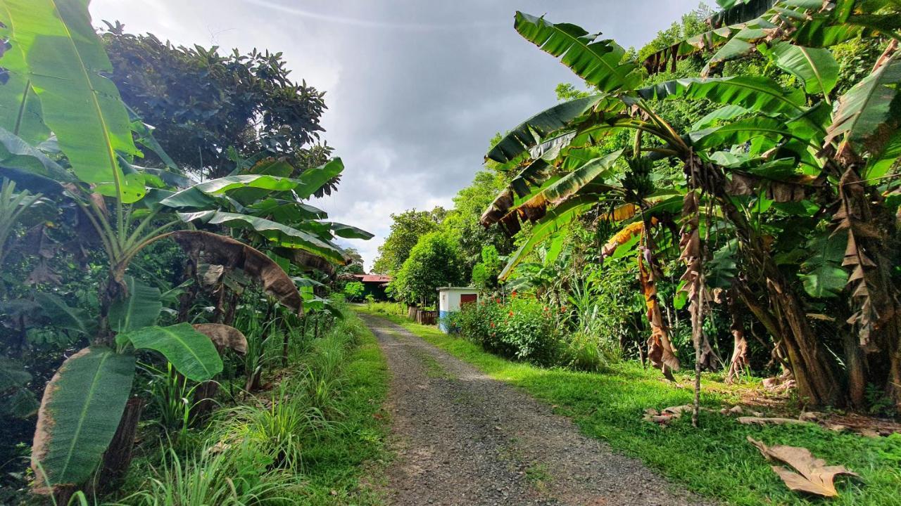 Jungle Eco Reserve Hotell Colon Eksteriør bilde