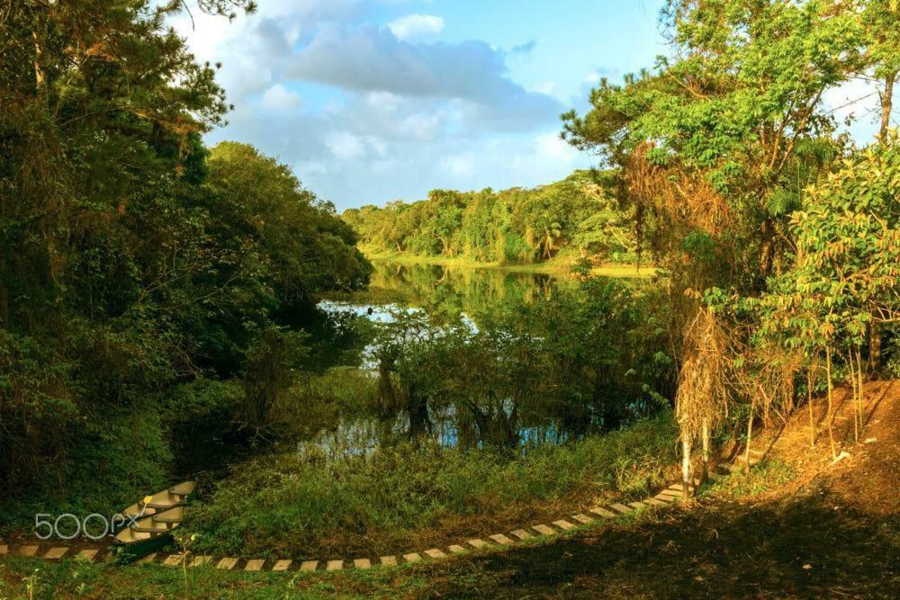 Jungle Eco Reserve Hotell Colon Eksteriør bilde