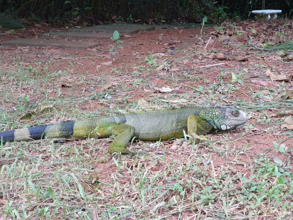 Jungle Eco Reserve Hotell Colon Eksteriør bilde