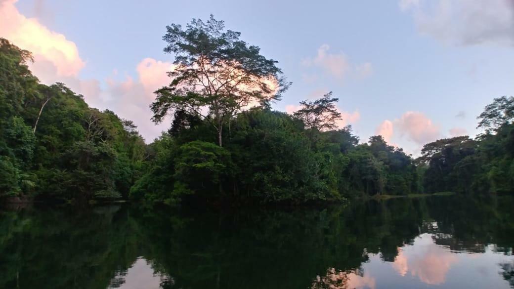 Jungle Eco Reserve Hotell Colon Eksteriør bilde