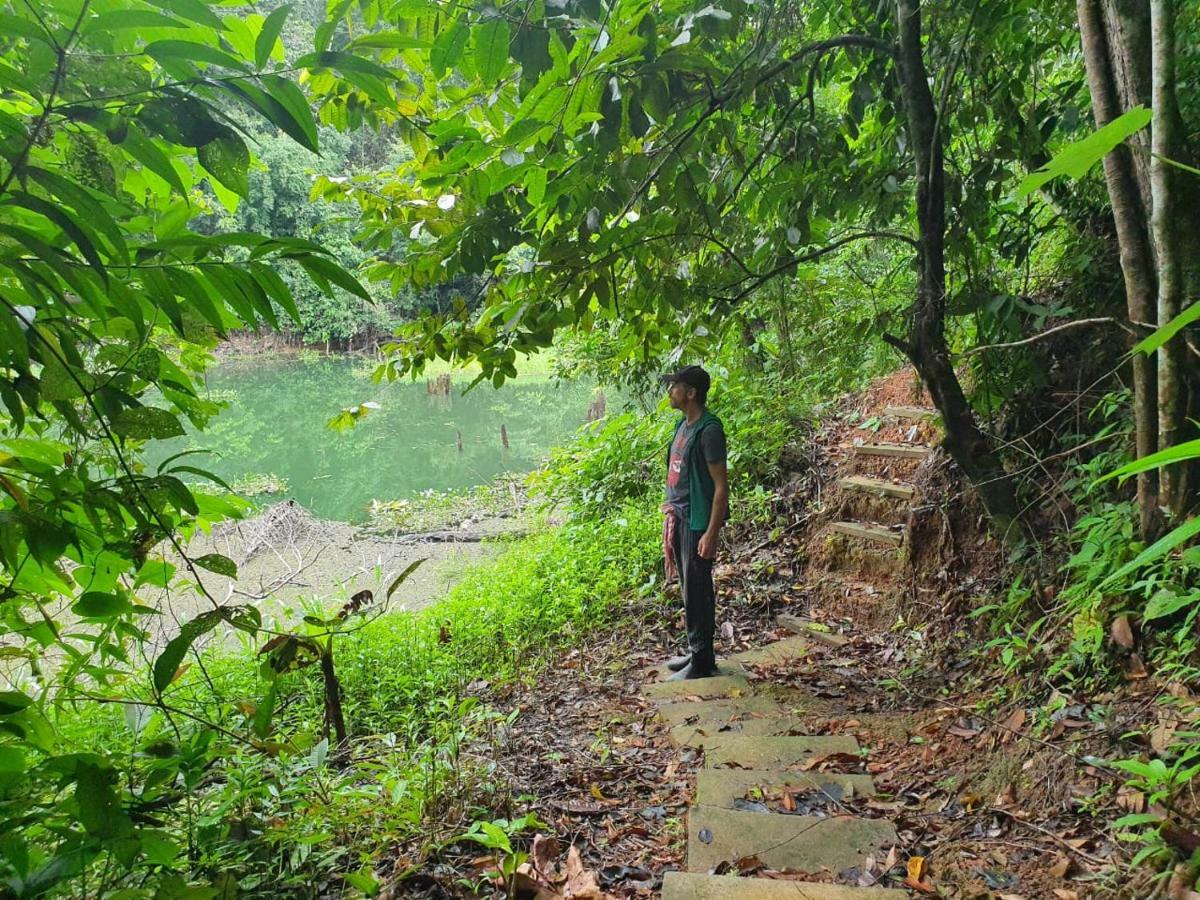 Jungle Eco Reserve Hotell Colon Eksteriør bilde