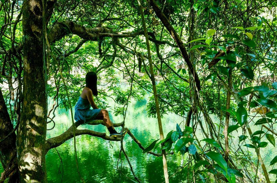 Jungle Eco Reserve Hotell Colon Eksteriør bilde