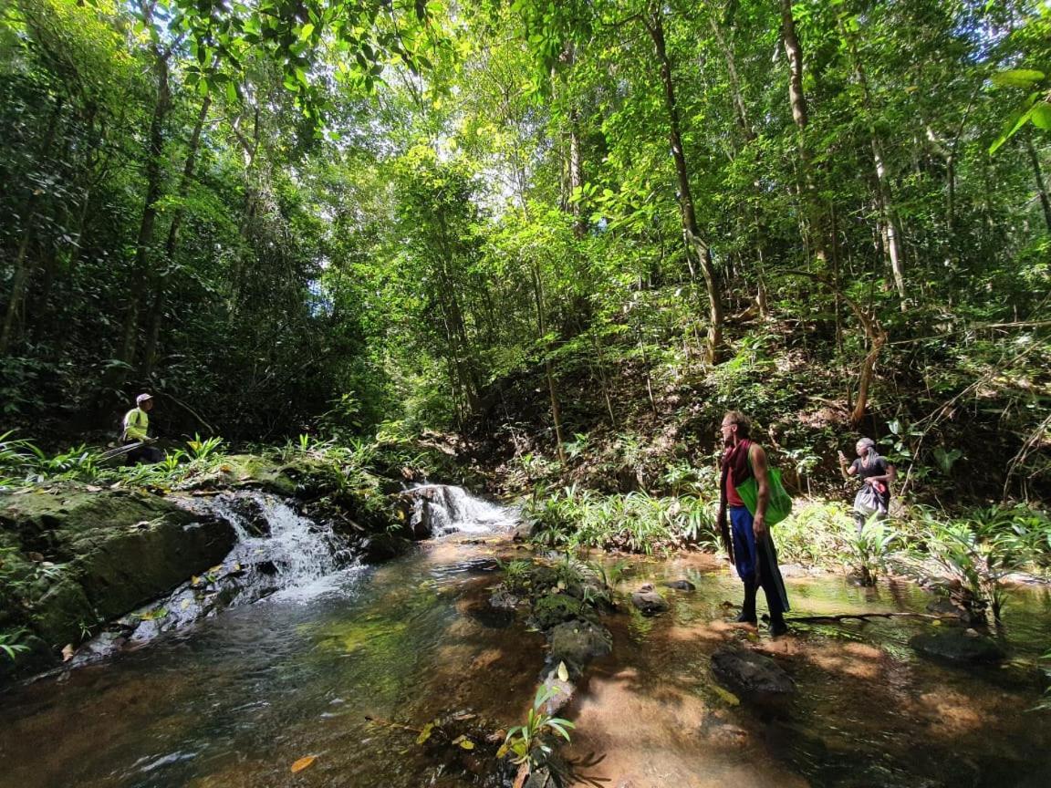 Jungle Eco Reserve Hotell Colon Eksteriør bilde