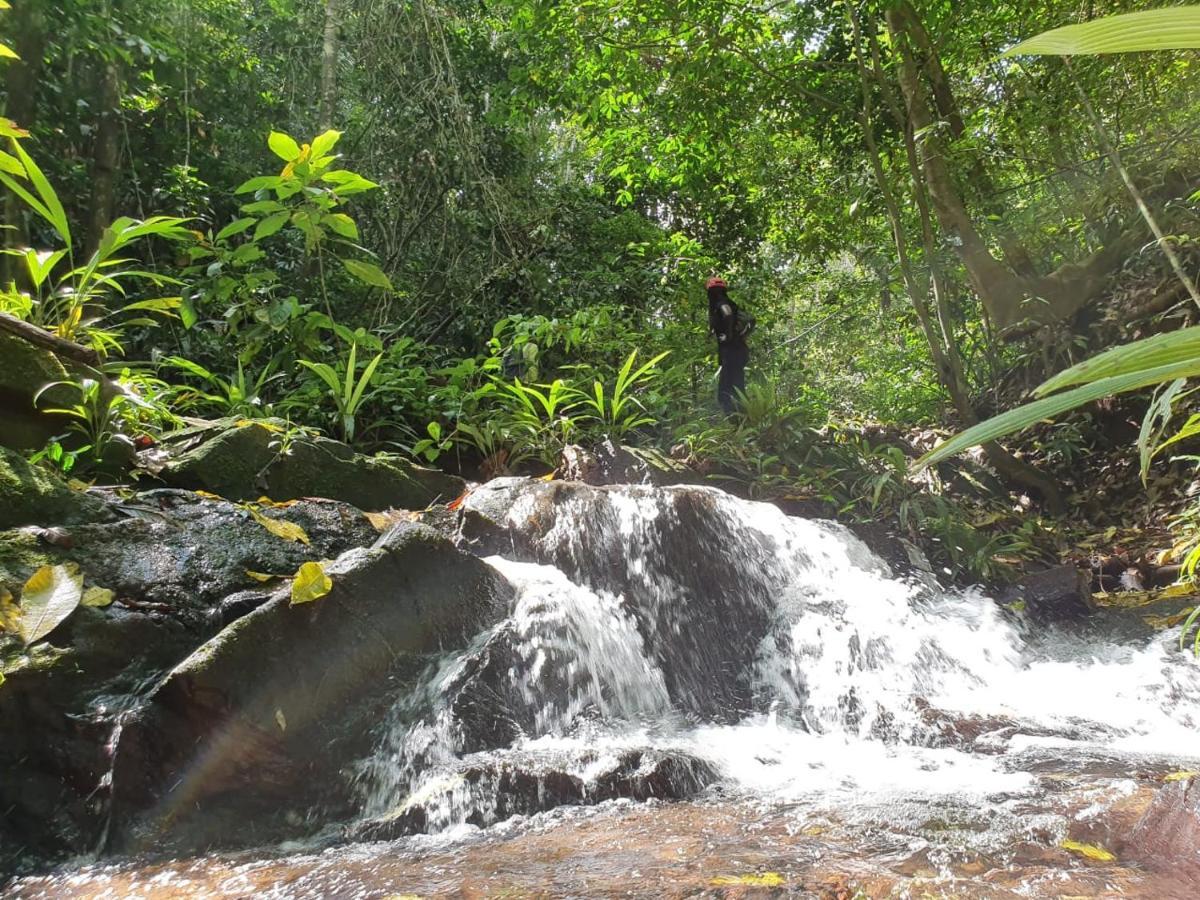 Jungle Eco Reserve Hotell Colon Eksteriør bilde