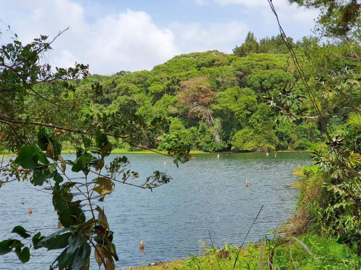 Jungle Eco Reserve Hotell Colon Eksteriør bilde